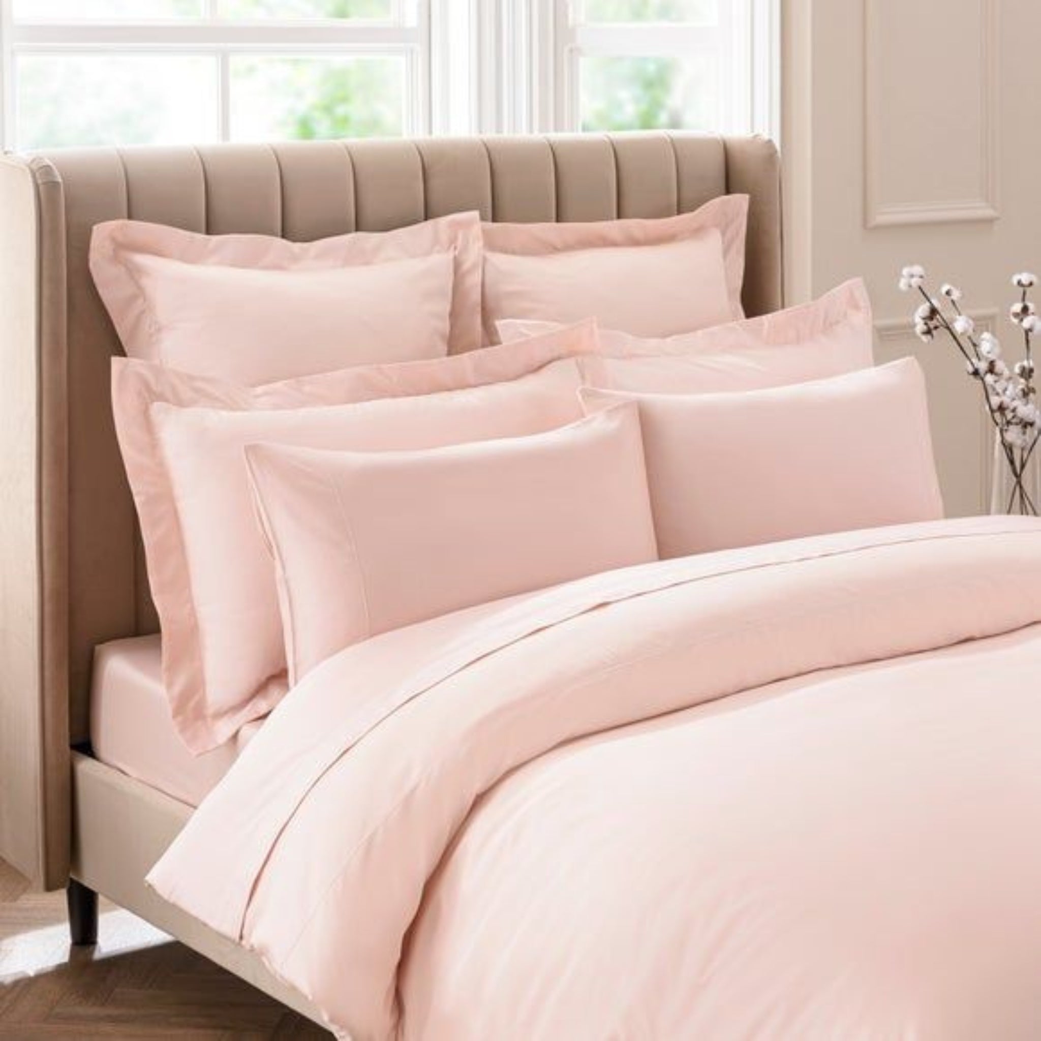 100% Cotton Bedsheet 300TC