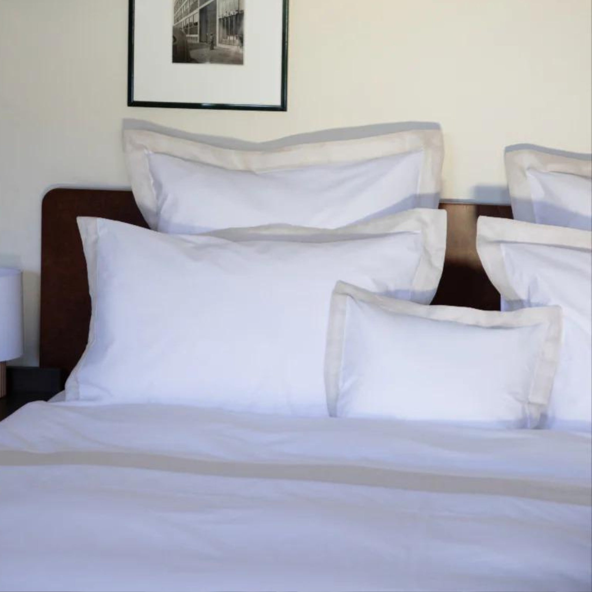 Cotton Satin With Frame 300TC